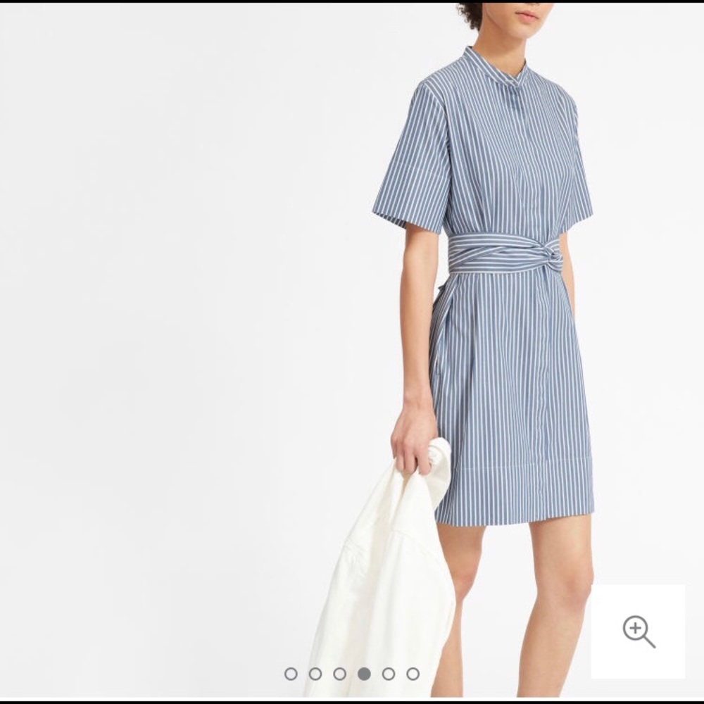 Everlane Cotton Collarless Belted Shirtdress